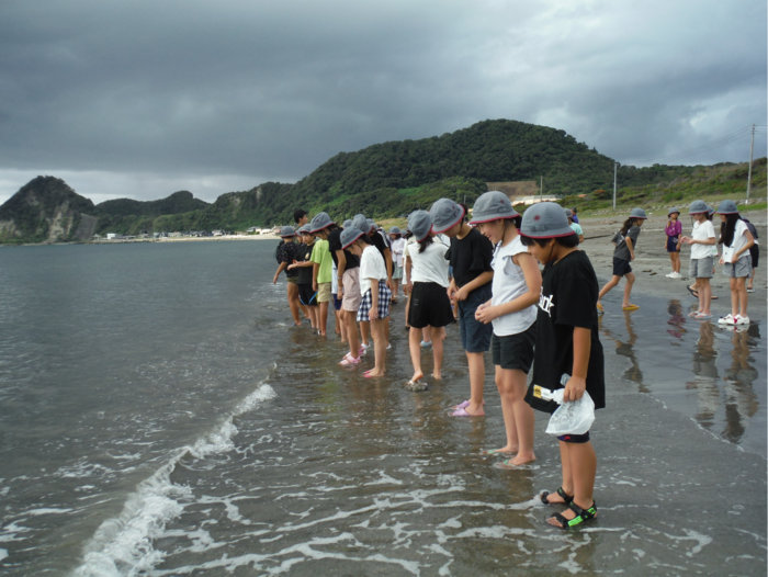 海岸散策している様子