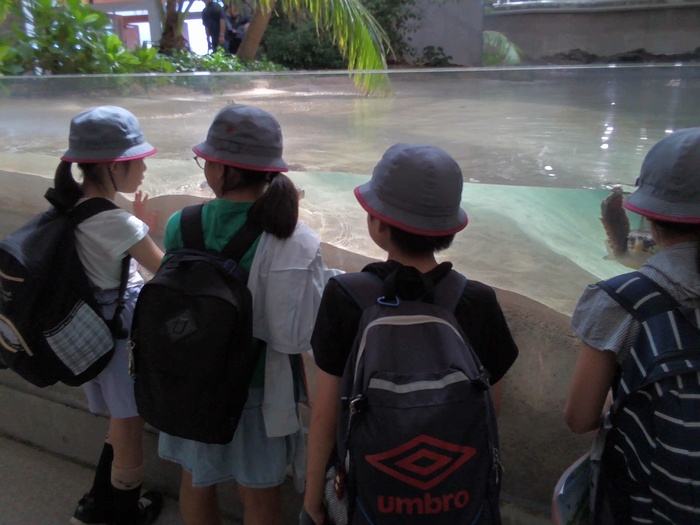 鴨川シーワールドの見学の様子