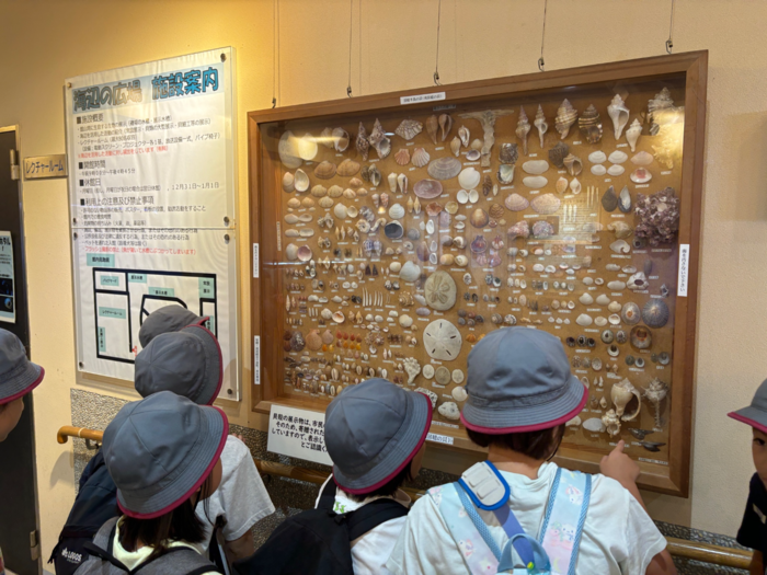 渚の博物館で海の様子を見学している