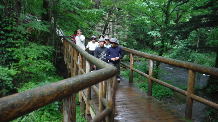 戦場ヶ原をハイキングしている様子