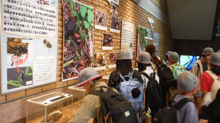 日光自然博物館で展示品を鑑賞している様子