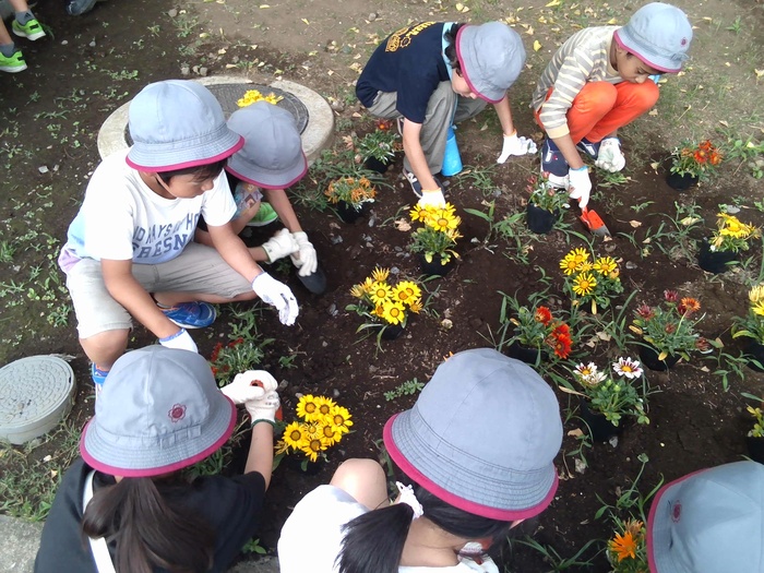 児童が花を植えている様子1