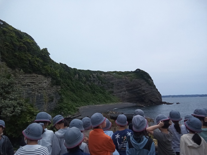 大房岬