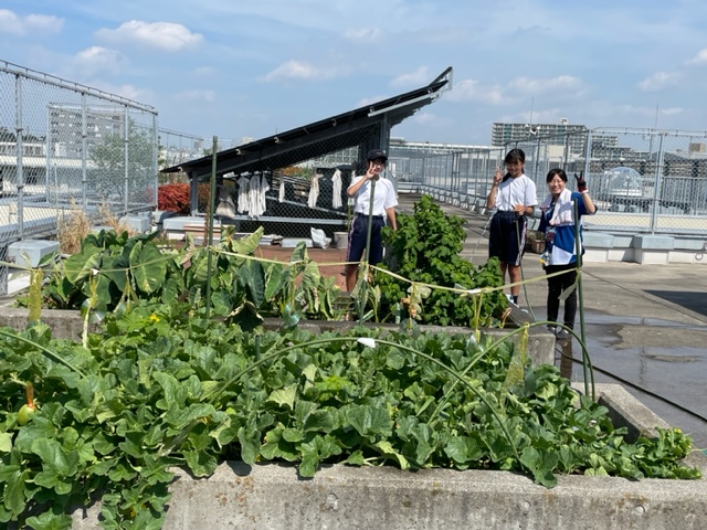 園芸