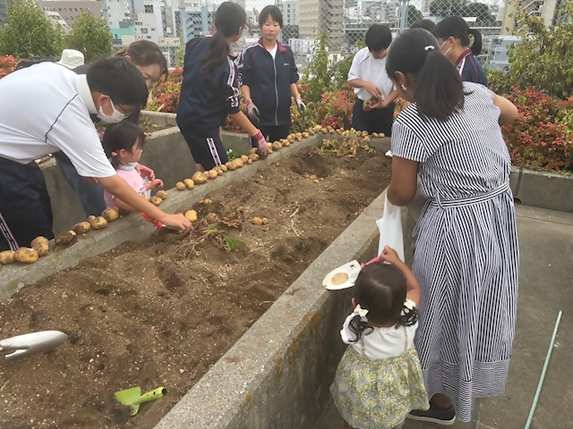 園芸