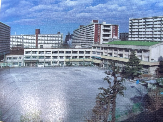 桜田中