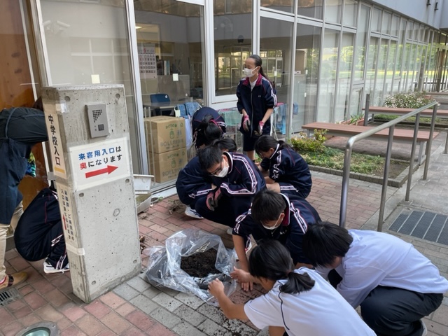 園芸