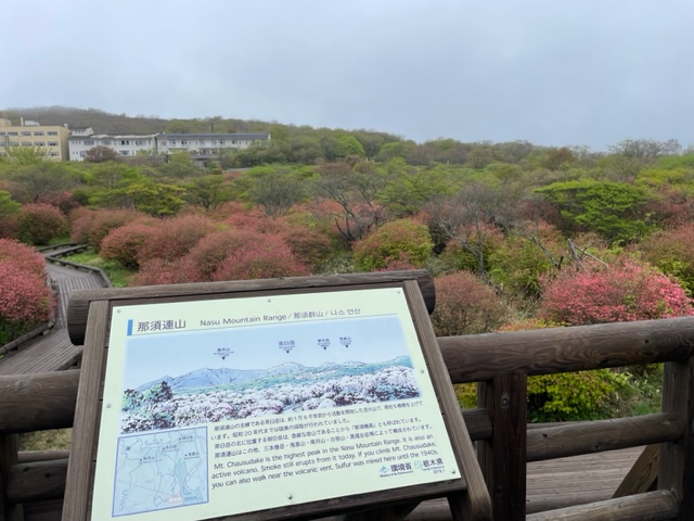 ハイキング