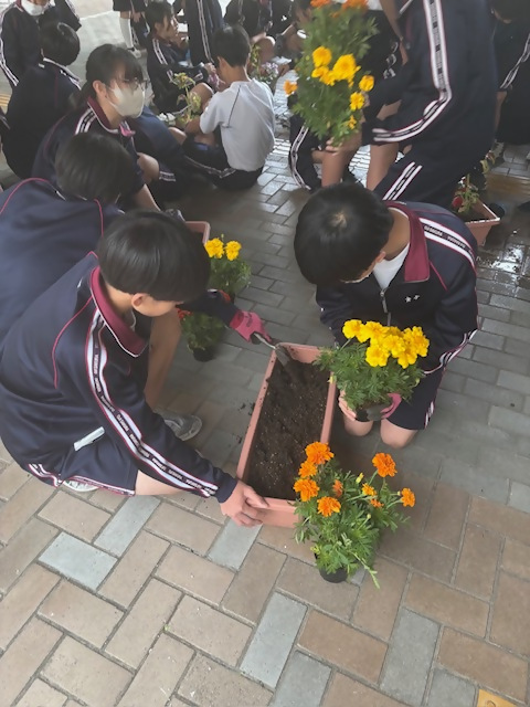 ボランティア活動1