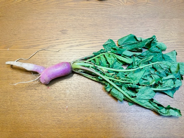 料理2