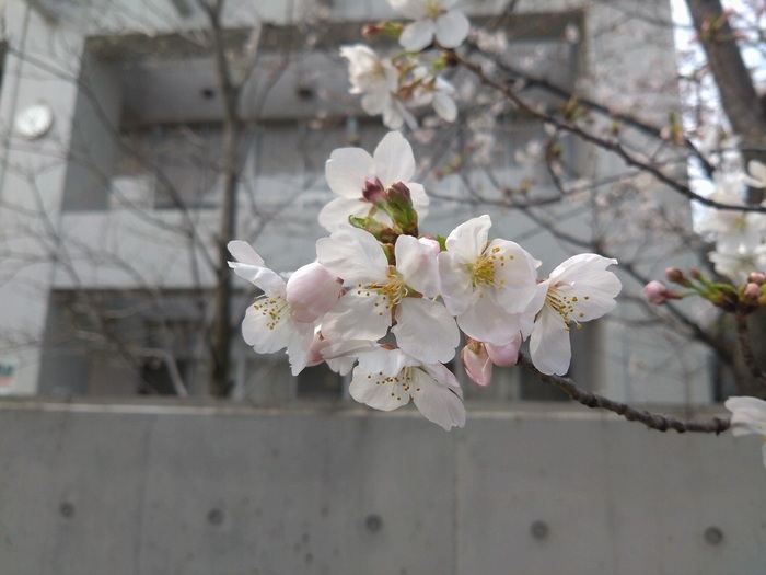3月28日(木曜日)