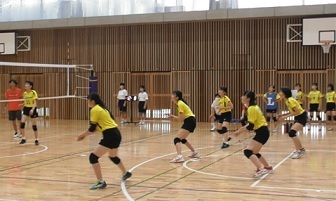 写真：バレーボール部