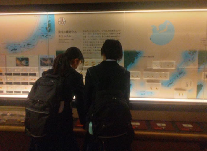 国立科学博物館で展示を見る生徒の様子