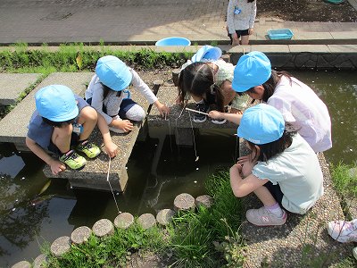 ザリガニつりの写真