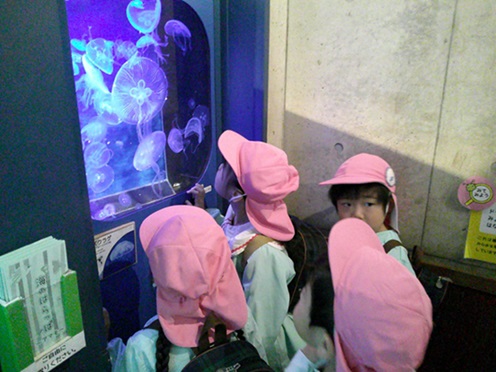 足立生物園の様子1