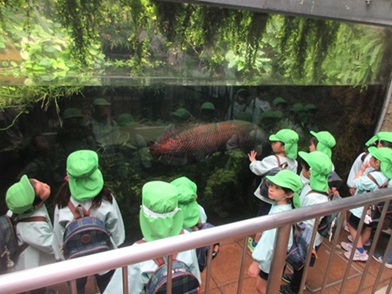 足立生物園の様子3