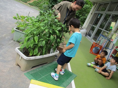 調理をお願いする