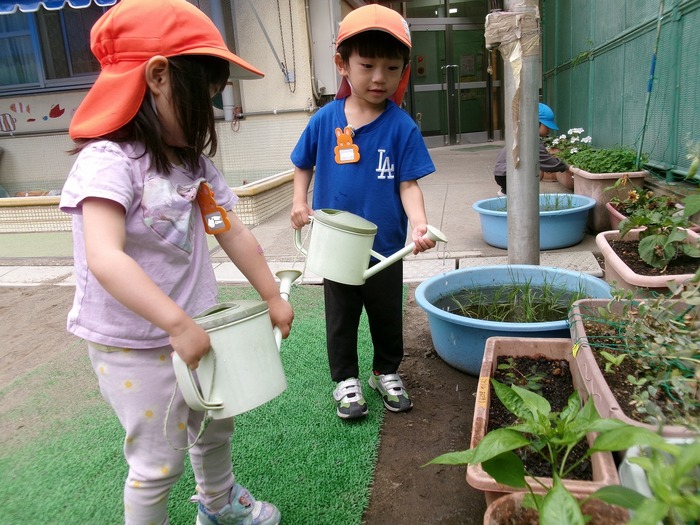 植物にじょうろで水をあげているところ