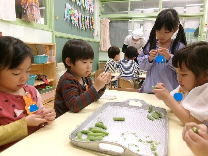 スナップエンドウの筋取りのお手伝い