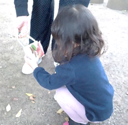 どんぐりと落ち葉拾いの様子