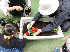 花植え