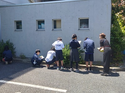 6組理科(1)