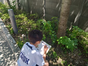 6組理科(2)