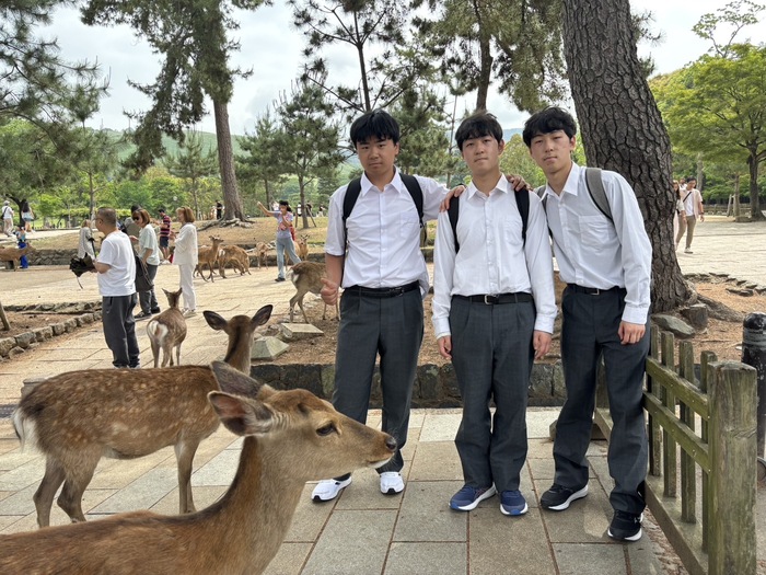 鹿と写真を撮っている様子