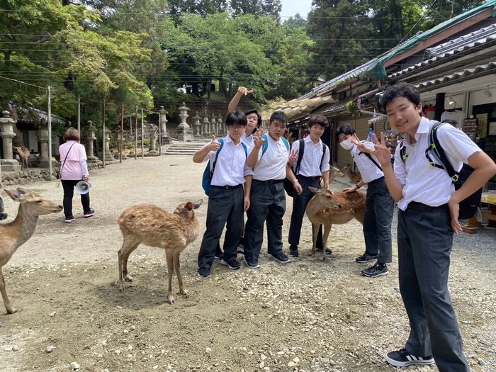 鹿とのふれあい