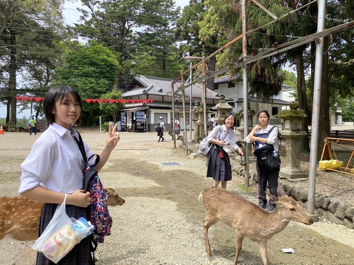 鹿との写真