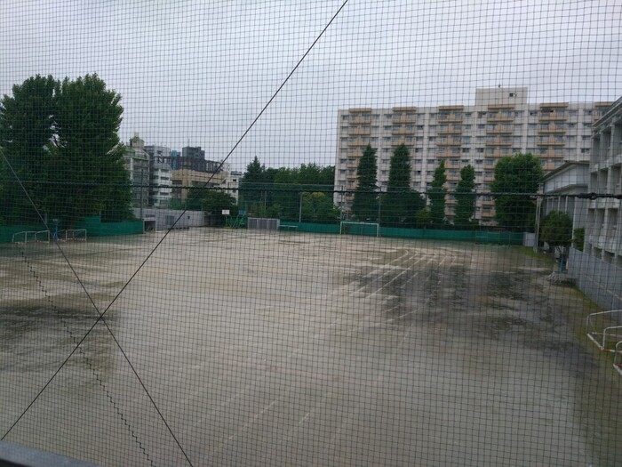 今日も一日雨でした