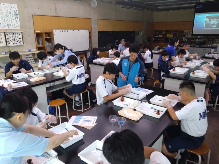 那須29