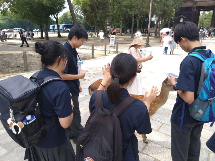 修学旅行0109