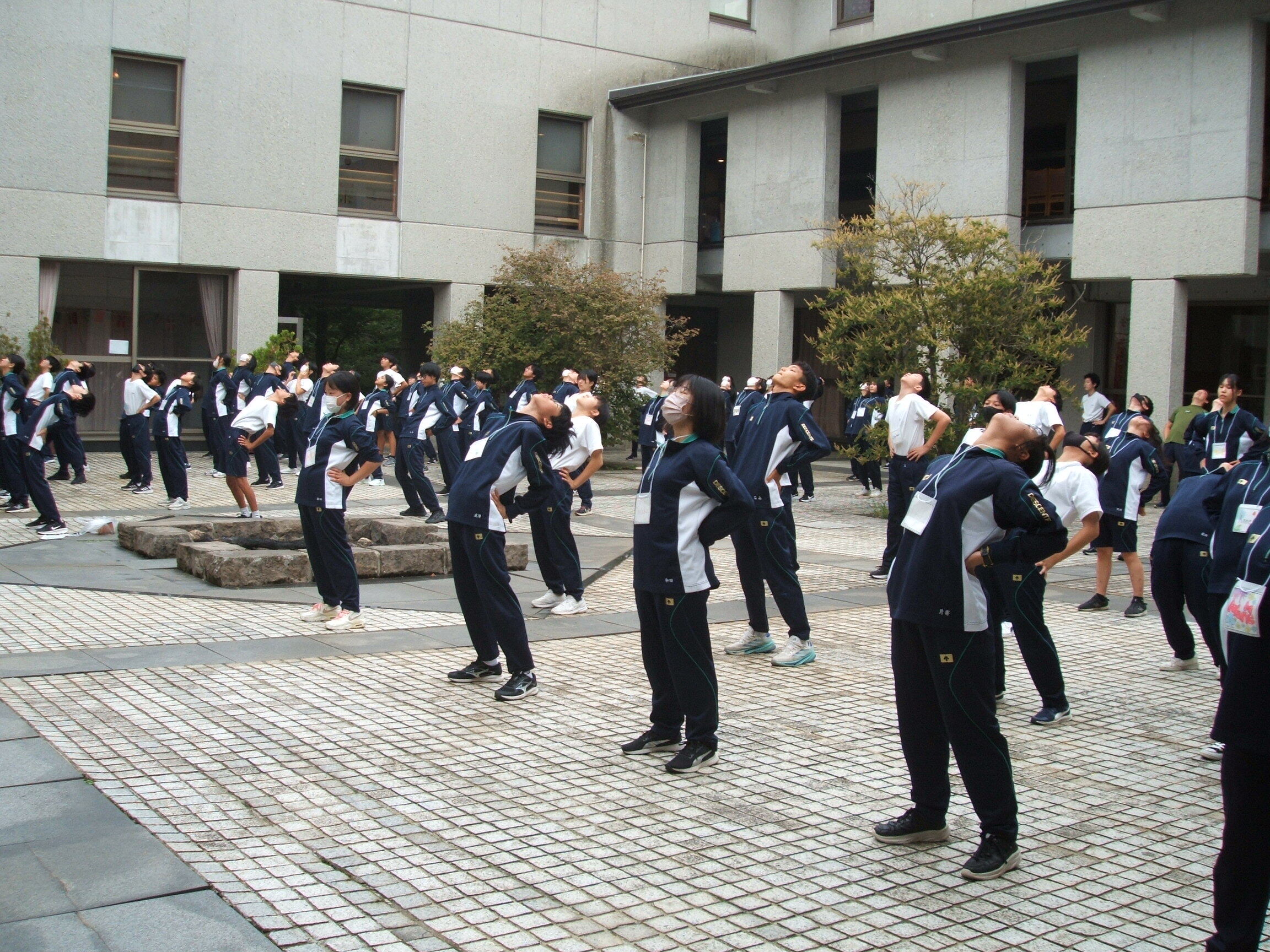 朝のラジオ体操