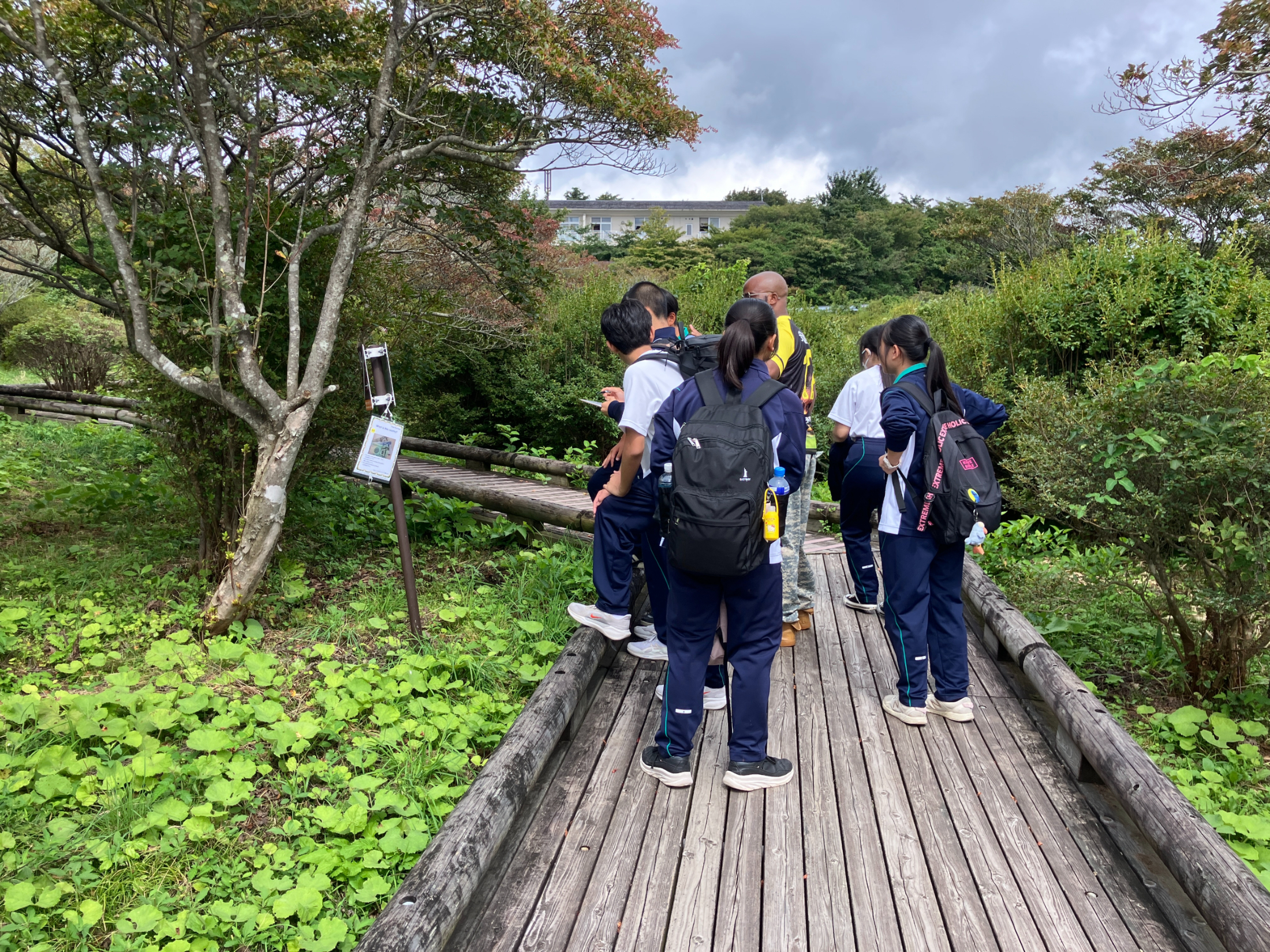 ハイキングの様子