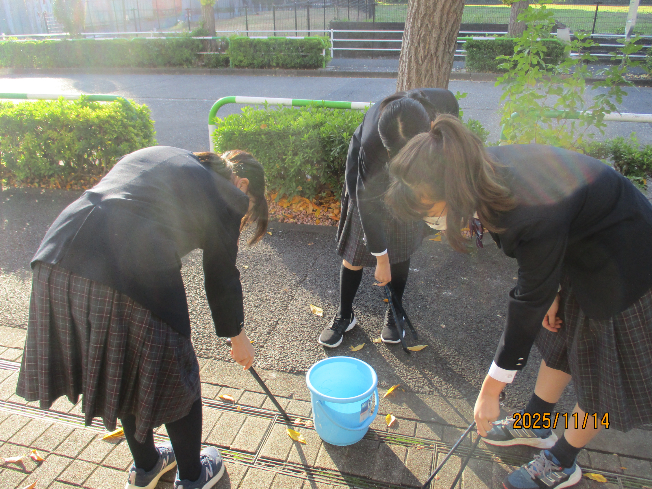 ゴミを取る様子