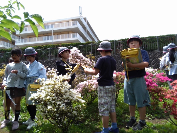 あたたかくなると