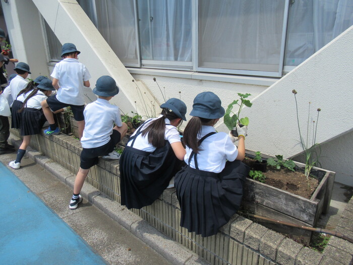 写真