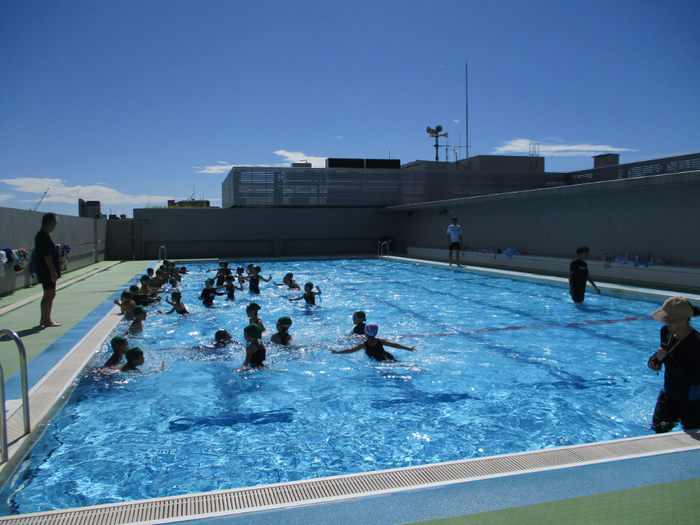 夏季水泳の写真