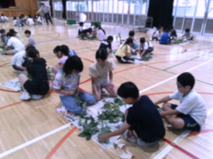 えだまめのさや取り