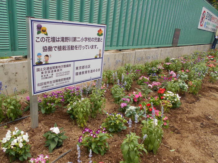 植栽3