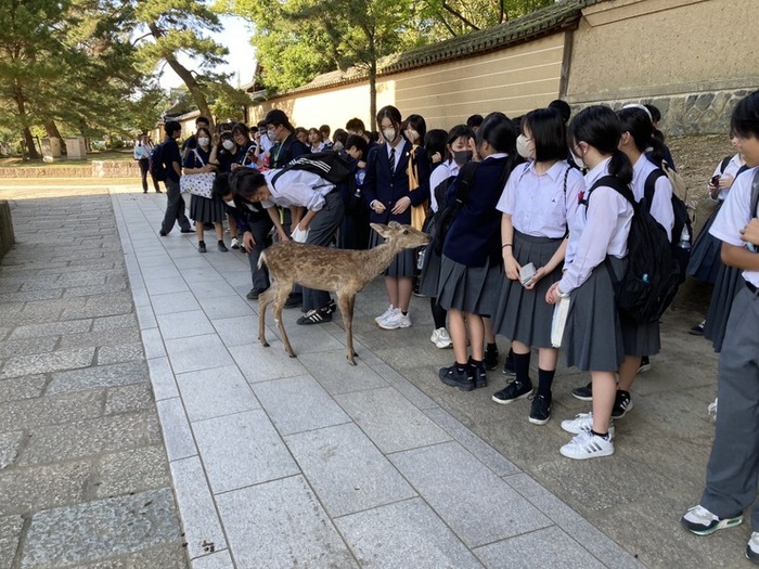 様子(3)