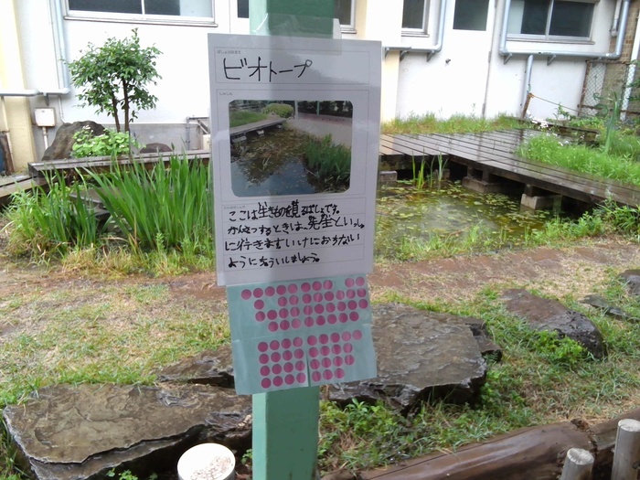 ポイントの様子