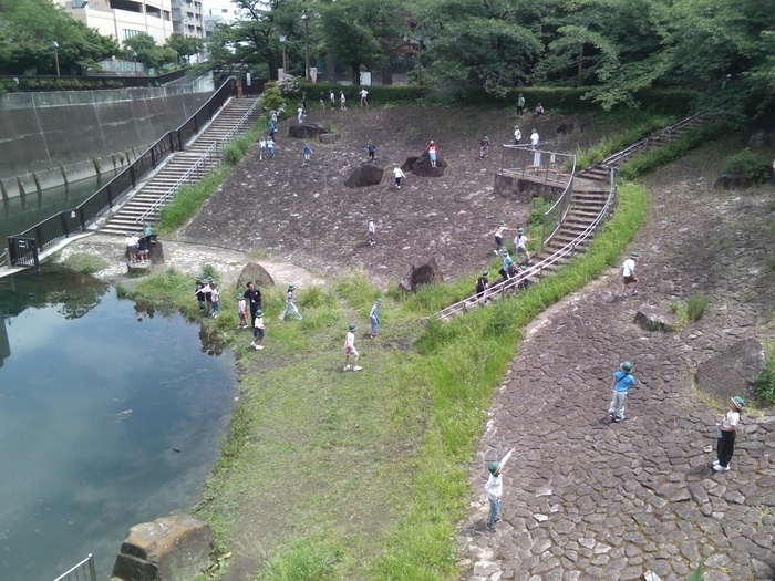 生き物さがしの様子(1)