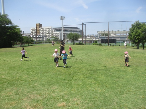 観察公園2