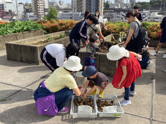園芸1