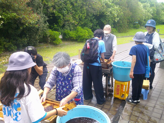 児童が職人さんに教えてもらいながら、海苔をすいています。