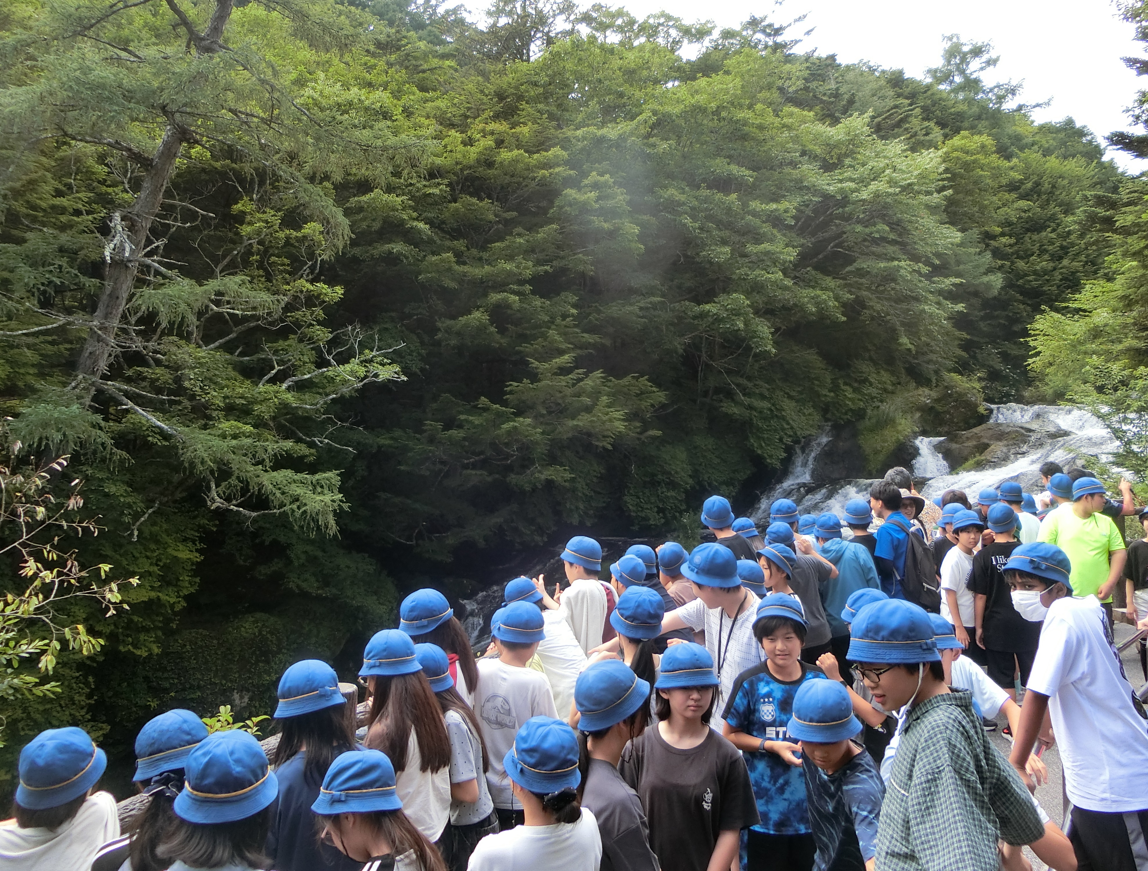 龍頭の滝見学の様子