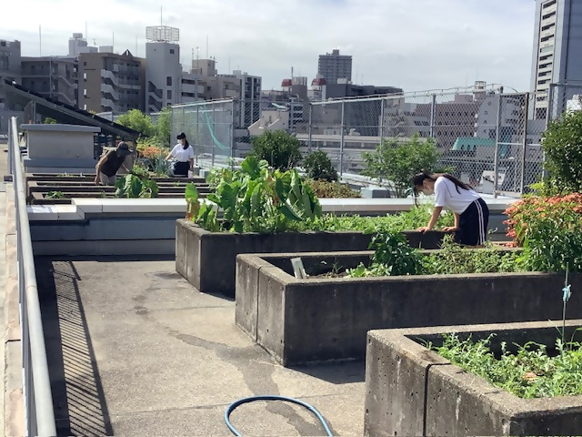 園芸2