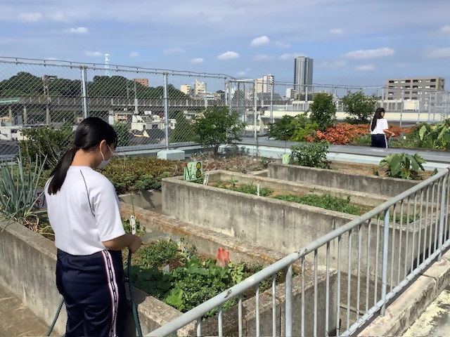 園芸3